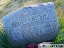 Theodore J Raudenbush