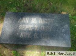 Ann M Rigby