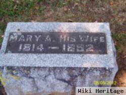 Mary Ann Hill Spratt