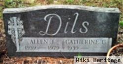 Allen Dils