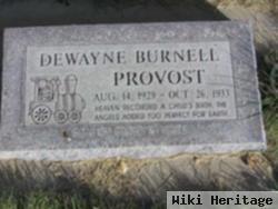 Dewayne Burnell Provost