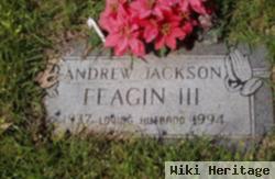 Andrew Jackson Feagin, Iii