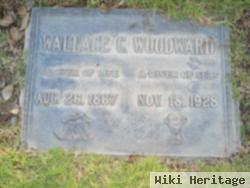 Wallace C Woodward