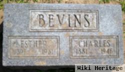 Charles Bevins