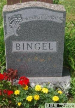 Ann E. Ford Bingel