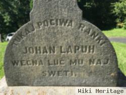 Johan Lapuh