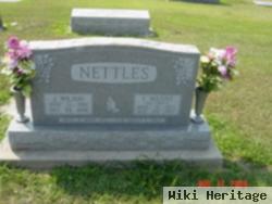 James Wilson Nettles