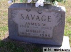 James William Savage