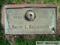 David Lee Bauserman