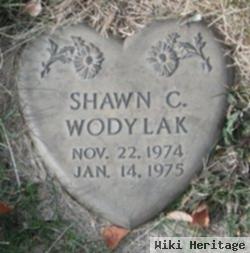 Shawn C Wodylak