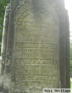 Thomas C Morgan