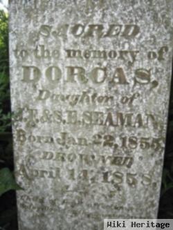 Dorcas Seaman