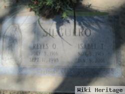 Mrs Isabel Trevino Silguero