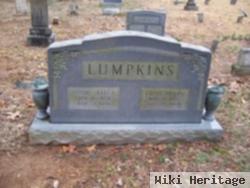 Anna Elizabeth "annie" Lumpkins Lumpkins