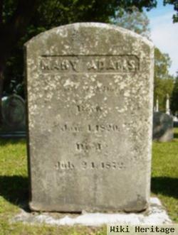 Mary Adams Doty