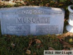 Dominic N. Muscato