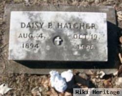 Daisy P Hatcher