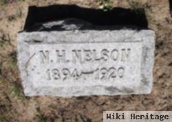 N H Nelson