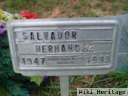 Salvador Hernandez