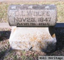 Daniel L Wolfe