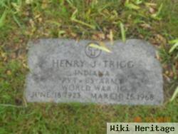 Henry J Trigg