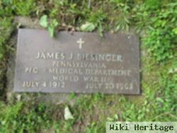 James J. Biesinger