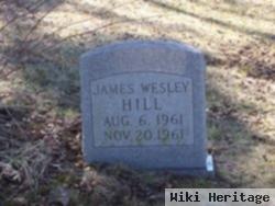 James Wesley Hill