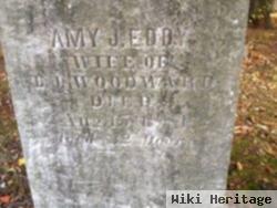 Amy J Eddy Woodward