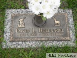 David L. Hollnagel