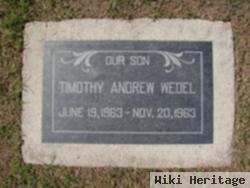 Timothy Andrew Wedel