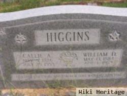 William D. Higgins