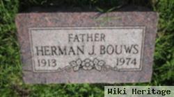 Herman J Bouws