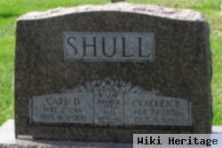 Carl Daniel Shull