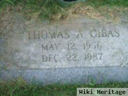 Thomas A Gibas