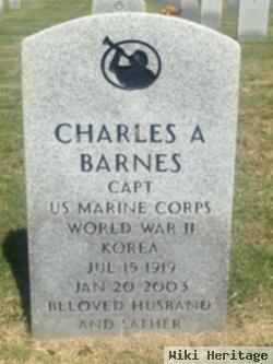 Charles Alsinus Barnes