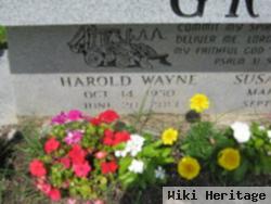 Harold Wayne Gray