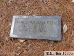 James William Prim