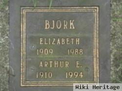 Arthur E. Bjork