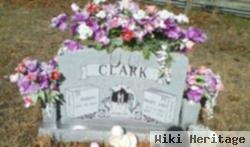 Mary Ann Clark
