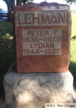 Peter Y Lehman