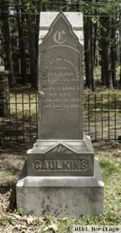 Erastus M Caulkins