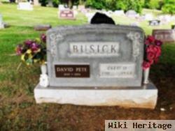 Cleo H. Busick