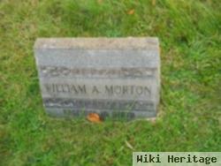 William A Morton