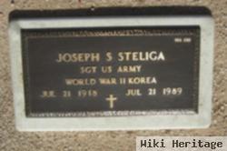 Joseph S Steliga