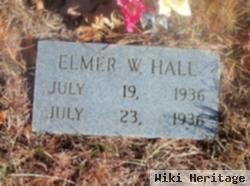 Elmer W. Hall