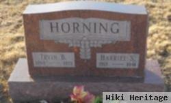 Irvin B Horning