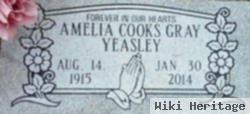 Amelia Cooks Gray Yeasley