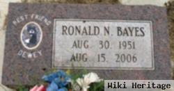 Ronald N Bayes
