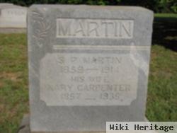 Mary Ann Carpenter Martin