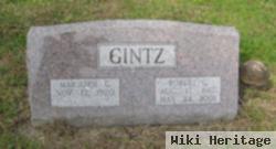 Robert G Gintz